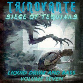 Siege Of Tequinas Liquid Drum And Bass Vol. 7 album cover