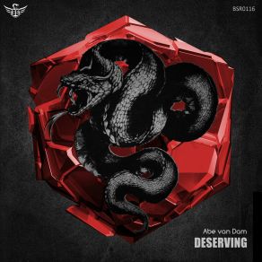 Deserving album cover