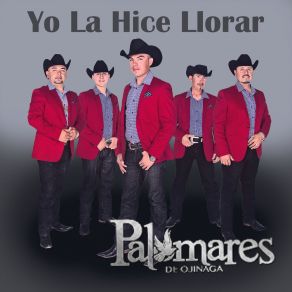 Yo La Hice Llorar album cover