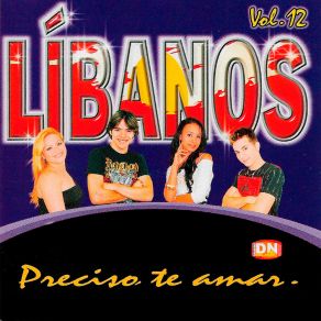 Preciso Te Amar, Vol. 12 album cover