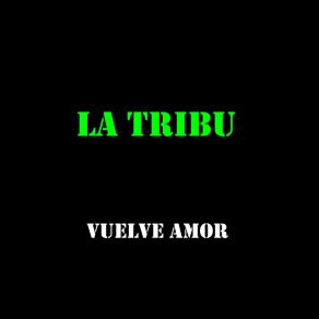 Vuelve Amor album cover