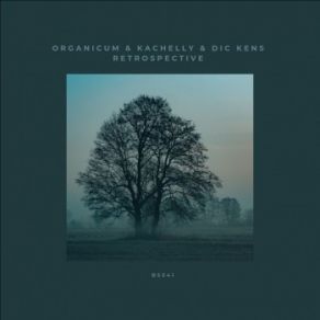Retrospective (Maxi-Single) album cover
