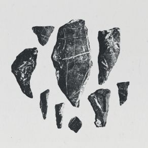 Controlled Processes album cover