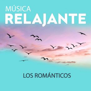 Música Relajante album cover