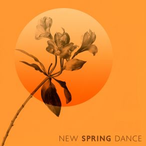 New Spring Dance (Jazz For Dancers) album cover