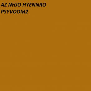 PSYVOOM 2 album cover