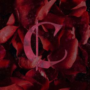 I Wish U Love album cover