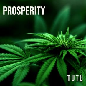 Prosperity album cover