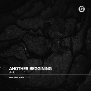 Another Begining album cover