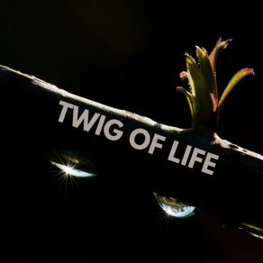 Twig Of Life album cover