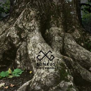 Sunkus album cover