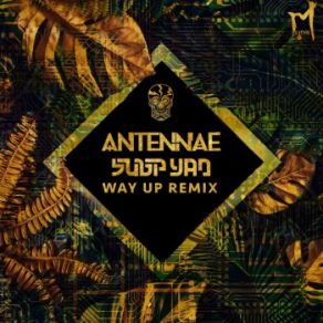 Way Up (Subp Yao Remix) (Single) album cover