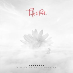 A Walk In The Clouds album cover