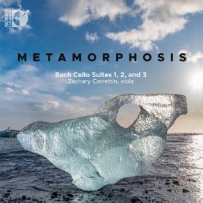Metamorphosis album cover