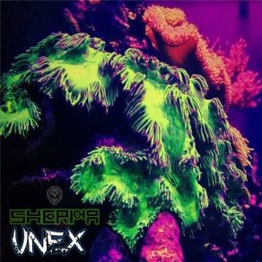 Unex album cover