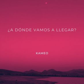 A Dónde Vamos A Llegar? album cover