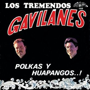 Polkas Y Huapangos…! album cover