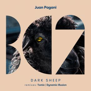 Dark She album cover