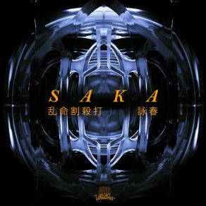 Split Punch / Wing Chun album cover