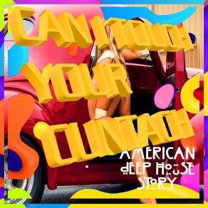 A D H S, Vol. 2 Anthology: Can I Touch Your Cuntach album cover