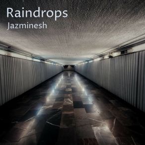 Raindrops album cover