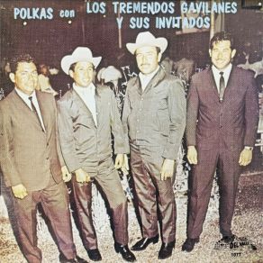 Polkas Con Los Tremendos Gavilanes Y Sus Invitados (Instrumental) album cover