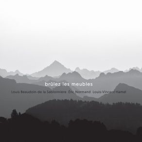 Brûlez Les Meubles album cover