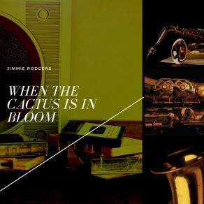When The Cactus Is In Bloom album cover