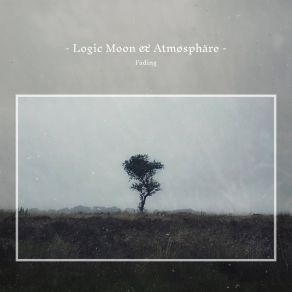Fading album cover