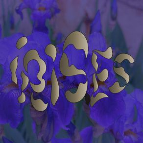 Irises album cover
