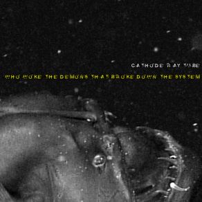 Who Woke The Demons That Broke Down The System? album cover