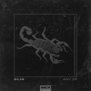 Any Op album cover