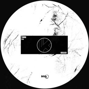 Echo album cover