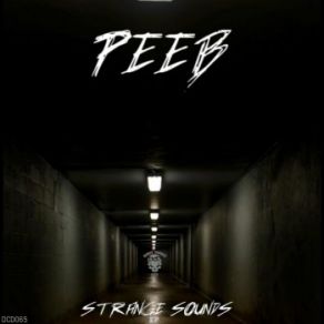 Strange Sounds album cover