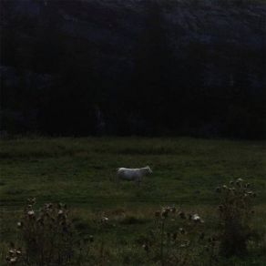 Limitless Frame album cover