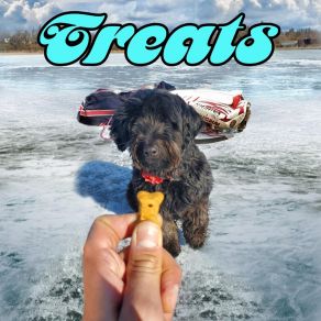 Treats album cover