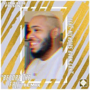 " Before The Fall " REMIX album cover
