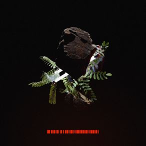 Help Your Soul / Where Are We Going album cover