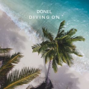 Diving On album cover
