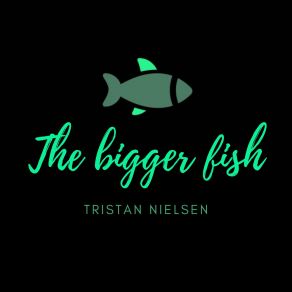 The Bigger Fish album cover