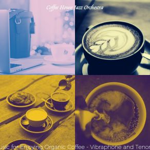 Excellent Music For Enjoying Organic Coffee - Vibraphone And Tenor Saxophone album cover