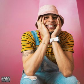 Inside The Pink Walls album cover