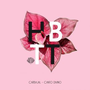 Canto Divino album cover