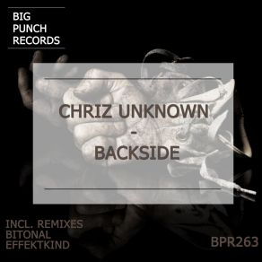 Backside album cover