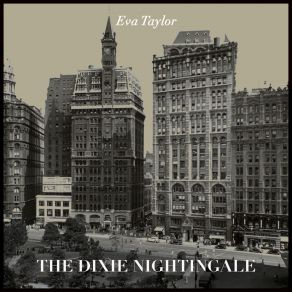 The Dixie Nightingale album cover