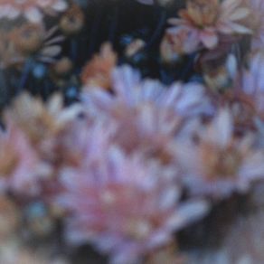 Harvest / The Keeper album cover