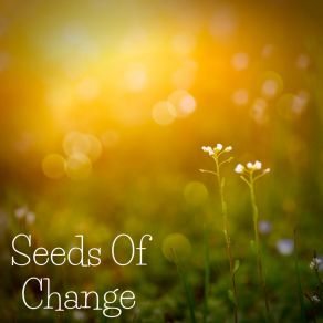 Seeds Of Change album cover