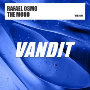 The Mood (Maxi-Single) album cover