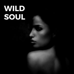 Wild Soul album cover