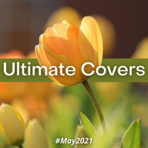 Ultimate Covers (# May 2021) album cover